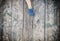 Children`s foot on old plank floor