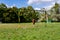 Children\\\'s football goalkeeper stands on goal