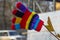 Children`s glove on a tree branch.