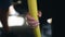 Children\'s hand on the bus holding the handrail. The bus is moving.