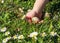 Children`s hand with an Easter egg.