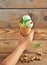 Children`s hand holding a pistachio ice cream cone