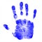 Children\'s Hand Prints