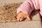 Children`s hand takes a handful of sand