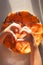 Children`s hands depict a heart-shaped symbol above a plate of salmon carpaccio. Sunlight, selective focus