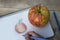 Children`s hands draw an apple with colored pencils. Top view