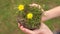 Children& x27;s hands hold ground with green grass and flowers. Environmental protection. Saving life on planet earth. Happy