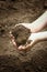 Children`s hands hold in a handful of brown soil that falls slightly down