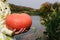 children& x27;s hands holding an orange pumpkin on the river Bank. Halloween