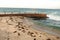 Children`s Nursery for Sea Lions in La Jolla, California