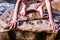 Children`s palms and bare feet and hands on the stone. Summer photo in the mountains