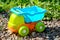 Children`s plastic multi-colored toy dump truck