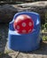 Children's rubber ball lies on a children's potty