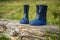 Children`s rubber boots on a log