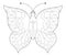 Children's simple black and white antistress coloring butterflies
