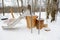 Children`s slide with stumps instead of a ladder. Wooden town. Winter landscape.