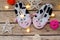 Children`s socks sneakers  cows on a wooden background with Christmas lights