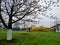 Children`s swing on a flowering cherry tree. Mobile photo with selective focus