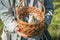 Children`s teenage hands hold a wicker brown hand-made basket with blue textured Easter eggs and a white plastic rabbit