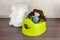 Children`s toilet pot green and diapers and toy doll, the concept of moving the baby from diapers to the toilet.