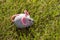 Children`s toy plastic mouse on a grass
