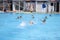 Children`s water polo team