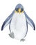 Children\\\'s watercolor illustration. Northern penguin.