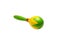 Children`s wooden rattle maracas