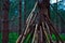 Children`s woodland branch den in forest