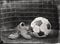 Children`s worn football