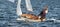 Children sailing small traditional wooden sailboat closeup on an inland waterway