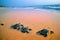 Children Sea turtle crawling along coast to water.