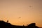 children silhouettes with kite flying on sunset landscape with rocks