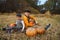 Children sit in a field with pumpkins. Healthy organic food.