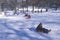 Children sled riding in Central Park, Manhattan, New York City, NY after winter snow storm