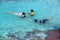 Children snorkeling