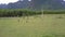 Children spend time playing football on green grass field