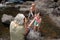 Children splashing water on their grandmother