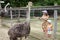 Children standing at the aviary with ostriches