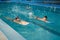 Children swimming group, workout in the pool