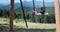 Children swinging on traditional wooden swing