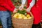 Children take part in the autumn harvest of pears in the garden