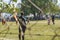 Children Teams Playing Soccer a Sunny Day in Uruguay