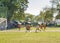 Children Teams Playing Soccer a Sunny Day in Uruguay