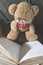 Children teddy bear with book