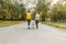 Children teenagers boy and girl walking on the road in the park with a white dog husky, back view