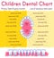 Children Teeth anatomy