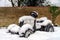 Children toy tractor over the snow