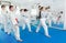 Children trying martial moves in karate class