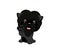 Children vector illustration of funny little Sitting puppy dog raised his front paw and looking up. cheerful puppy with a raised p